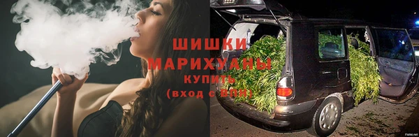 ПСИЛОЦИБИНОВЫЕ ГРИБЫ Няндома