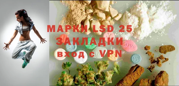 ПСИЛОЦИБИНОВЫЕ ГРИБЫ Няндома