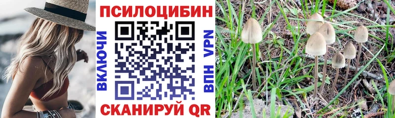 что такое наркотик  Бавлы  Псилоцибиновые грибы мицелий 
